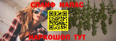 spice Аргун
