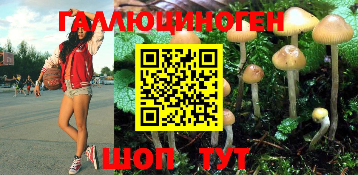 Бор  Галлюциногенные грибы MAGIC MUSHROOMS  сколько стоит  Вход с VPN 